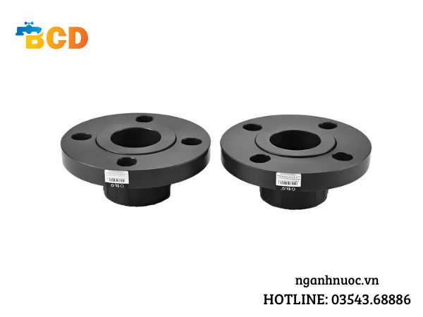 mat-bich-cpvc202-2 Mặt bích cpvc