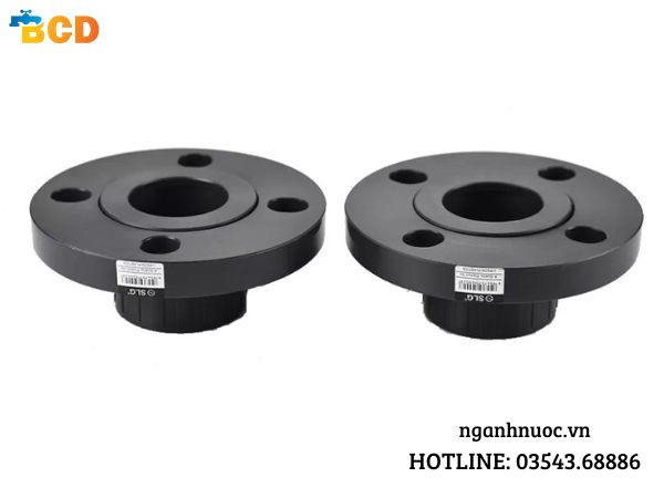 mat-bich-rong-1 mặt bích rỗng